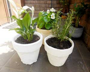 漆喰植木鉢イメージ